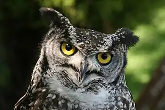 alternativní popis obrázku chybí