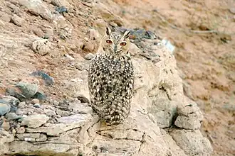 popis obrázku chybí