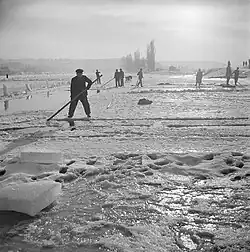 Praha, ledaři pod Vyšehradem, asi 40. léta