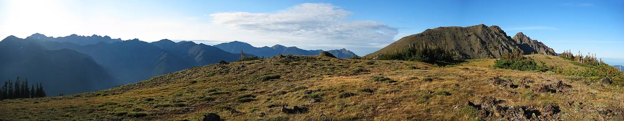 Panoráma Olympijského pohoří ze Svištího průsmyku. Vpravo v dálce můžete zahlédnout Buckhorn Mountain a Železnou horu.