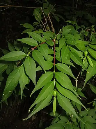 alternativní popis obrázku chybí