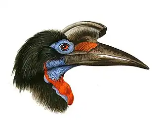 alternativní popis obrázku chybí