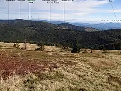 Javorina z Malé Rači