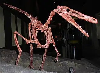 alternativní popis obrázku chybí