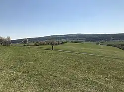 Pohled na Bukovou horu od východu