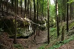 Bukovské ochozy pod Orlím