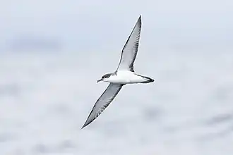 alternativní popis obrázku chybí