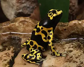 alternativní popis obrázku chybí