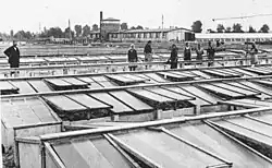 Pařeniště s klasickými pařeništními okny (druhá řada, s dvěma skleněnými plochami)