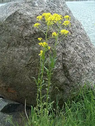 alternativní popis obrázku chybí