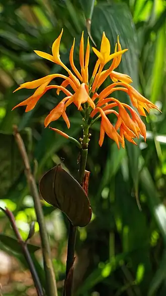 alternativní popis obrázku chybí