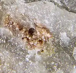 Růžové mikrokrystaly burckhardtitu z dolu Moctezuma v Sonoře (Mexiko)