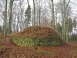 Hradní jádro s torzem bergfritu