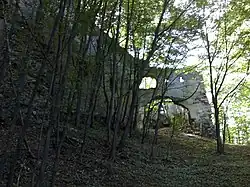 Hrad Schwarzenbach (Dolní Rakousy), kdysi v držení Zinzendorfů