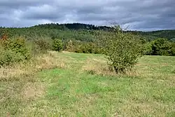 Burgberk 2015-09-05 2.jpg