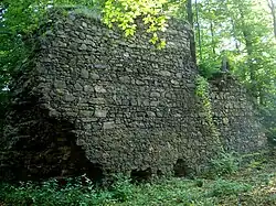 Hrad Trzciniec (Ronov)