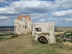 Staatz (8. července 2007)