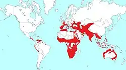 Areál rozšíření