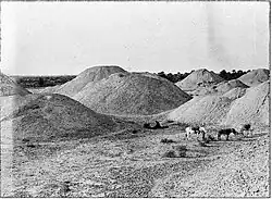 Dilmunské pohřební mohyly v roce 1918