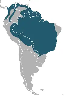 Areál rozšíření