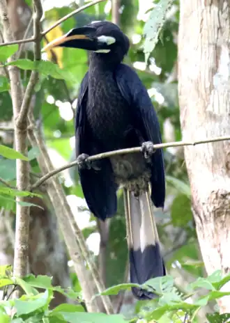 alternativní popis obrázku chybí