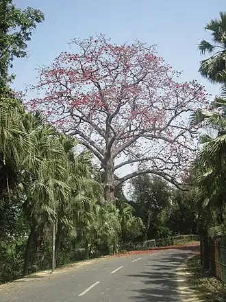 alternativní popis obrázku chybí