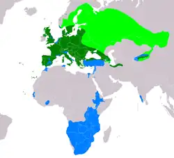 Rozšíření káně lesní