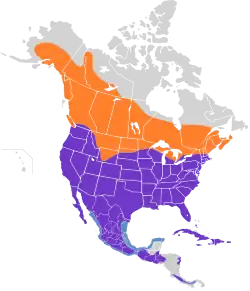 Areál rozšíření