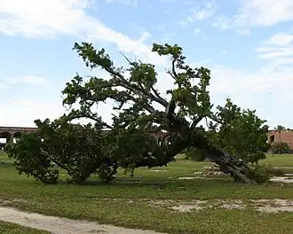 alternativní popis obrázku chybí