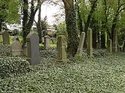 Byšice - židovský hřbitov (5).JPG