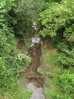 Bylanka ve Viticích