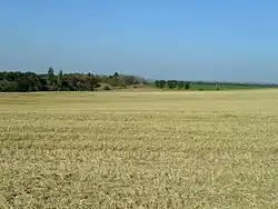 Archeologické naleziště: pohled na východ