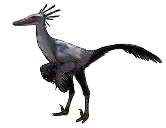 alternativní popis obrázku chybí