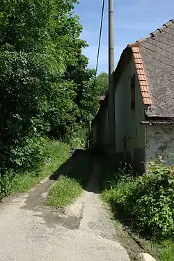 Cesta procházející osadou