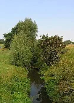 Říčka Bystřice při průtoku Boharyní