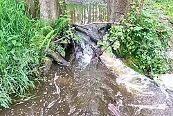 Bystřický potok pod Černým rybníkem nad Újezdem Svatého Kříže