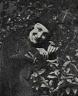 Ema Miřiovská, představitelka Lišáka, Národní divadlo Praha, 1925