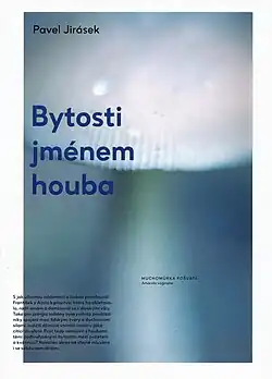 Kniha básní a fotografií Bytosti jménem houba