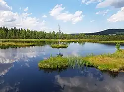 Fotografie jezírka v červnu 2019