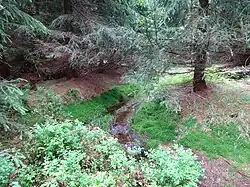 Prameniště Bílého potoka