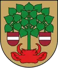Valmiera – znak