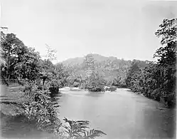 Batang Koelus v Napal Litjin