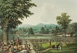 Na obrázku je vpravo připravený prostor k obřadu Rampok macan, pod stromem vlevo sedí pozorovatelé. Na obzoru se tyčí kopce.