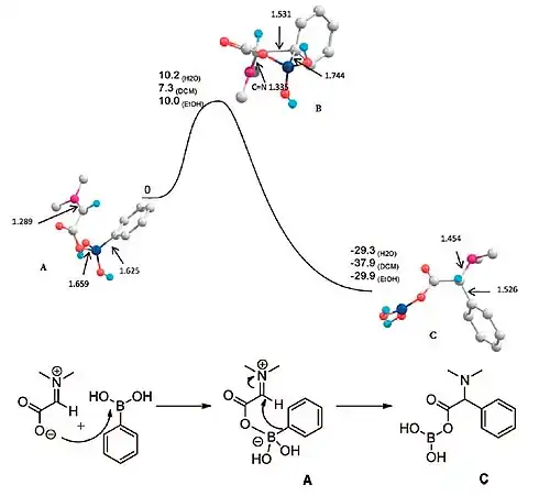 Mechanismus Petasisovy reakce - přechodný stav a energetická bariéra
