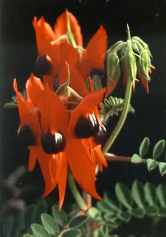 alternativní popis obrázku chybí