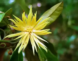 alternativní popis obrázku chybí