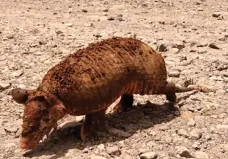 alternativní popis obrázku chybí