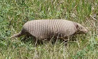 alternativní popis obrázku chybí