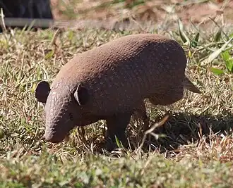 alternativní popis obrázku chybí