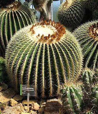 alternativní popis obrázku chybí